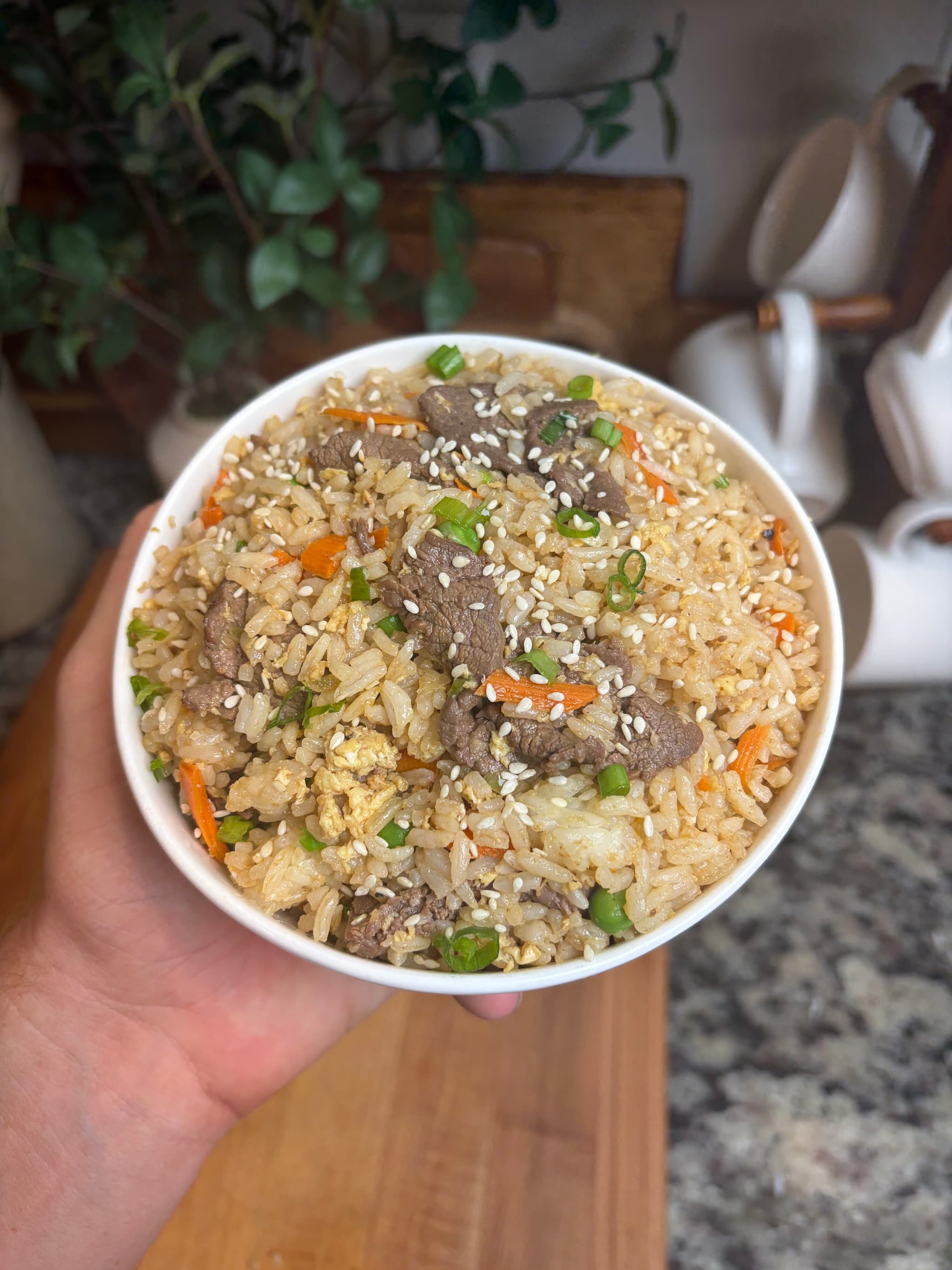 Venison Fried Rice