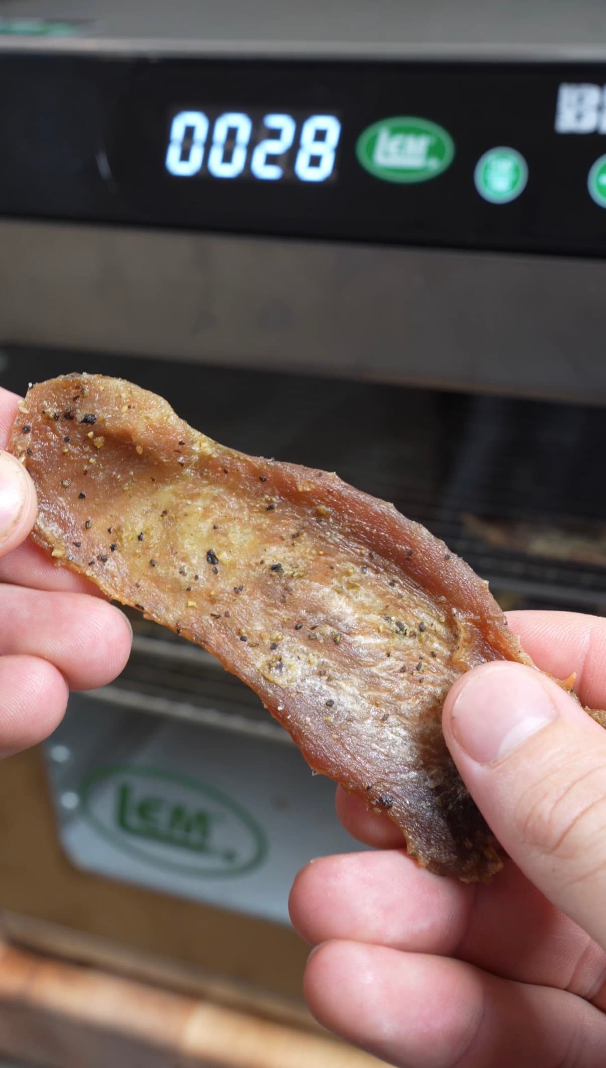 Turkey Jerky