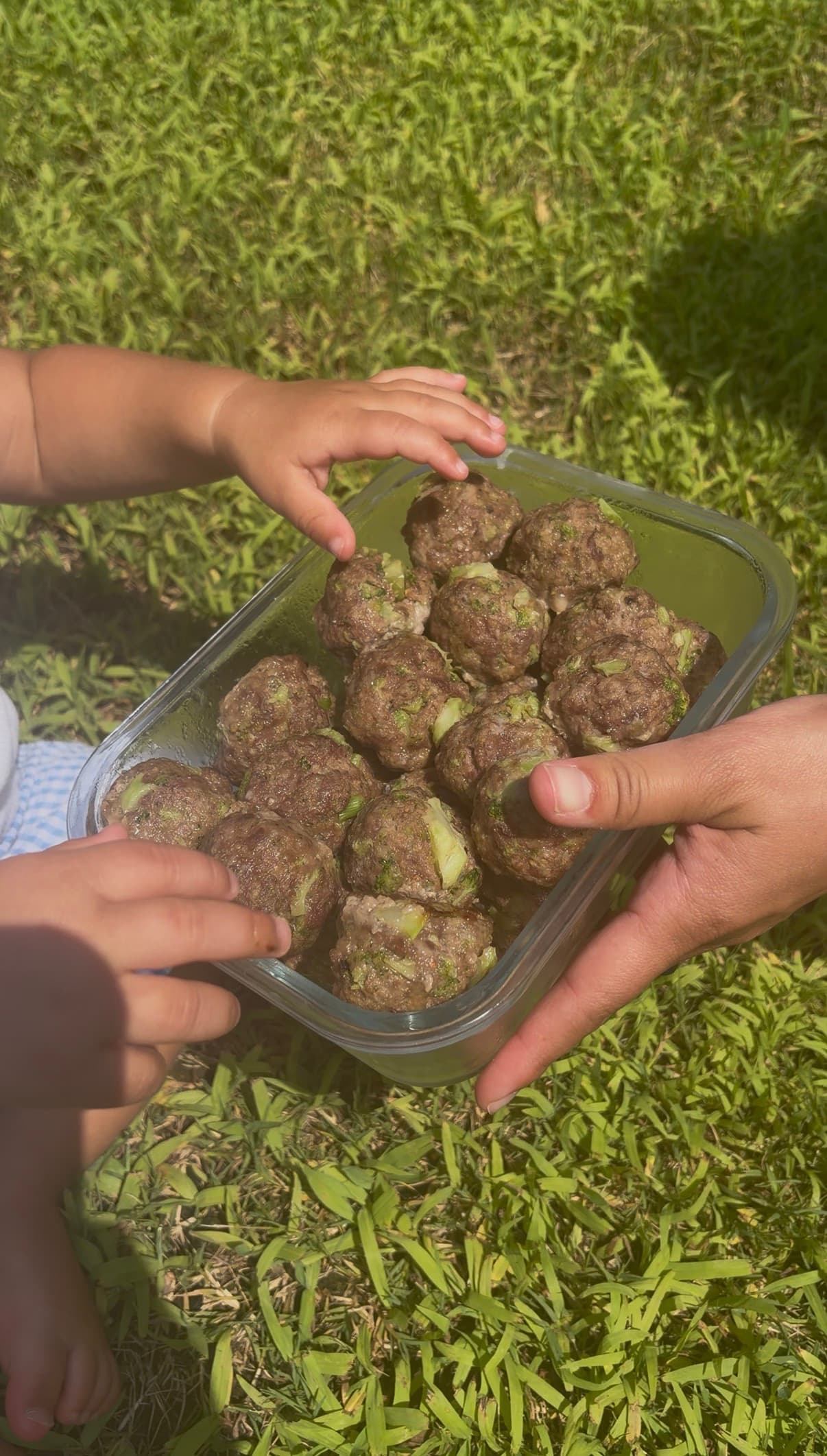 Venison Broccoli Meatballs (Toddler Approved)