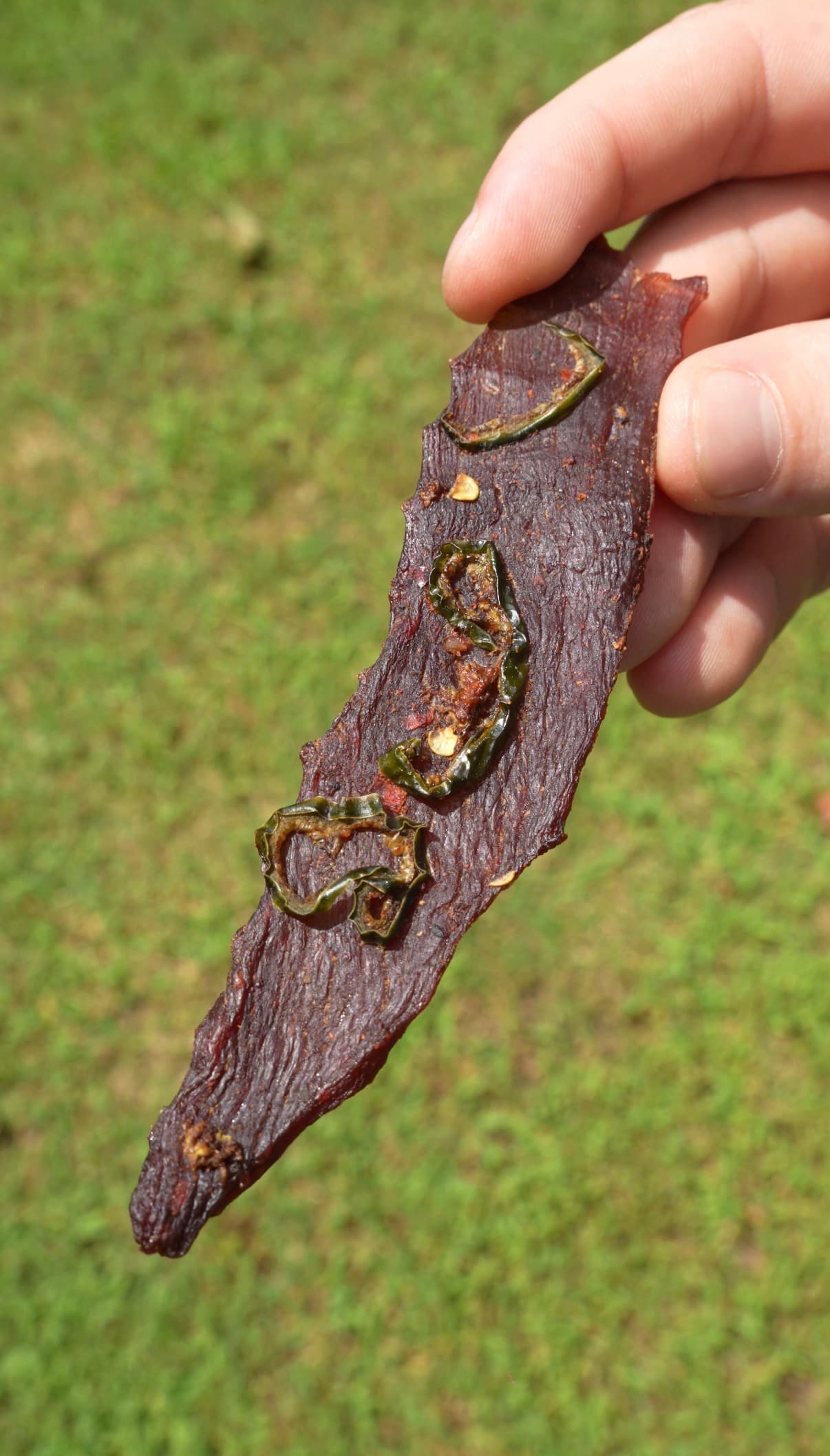 Honey Jalapeno Venison Jerky